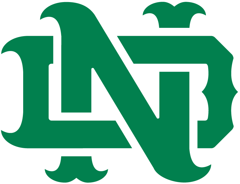 Notre Dame Fighting Irish 1994-Pres Alternate Logo v16 diy iron on heat transfer